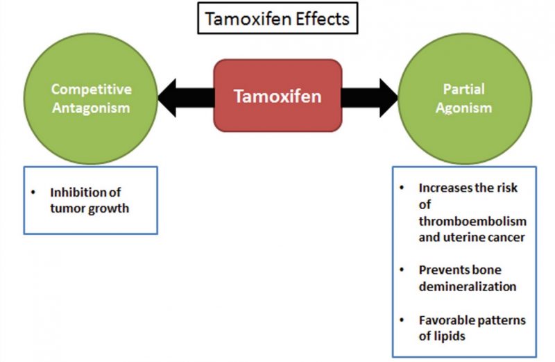 A few advantages of Tamoxifen