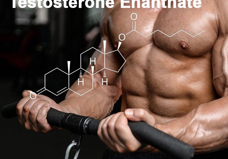 Testosterone Enanthate