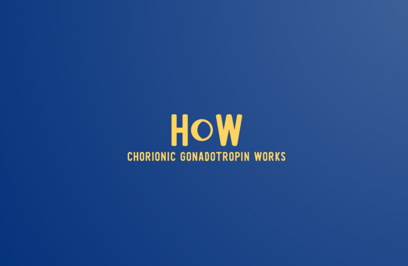 How Chorionic Gonadotropin works