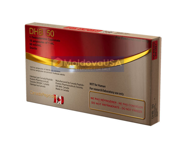 dhb-50-ampoules-10